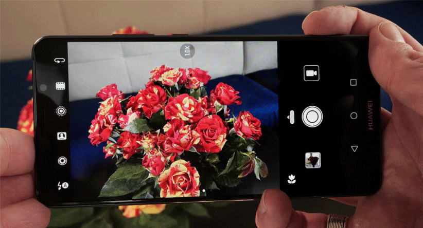 تلفن ها با یک واحد پردازش عصبی مانند Huawei Mate 10 Pro هنگام استفاده از دوربین می توانند تفاوت بین گل ها و گیاهان دیگر تشخیص دهند